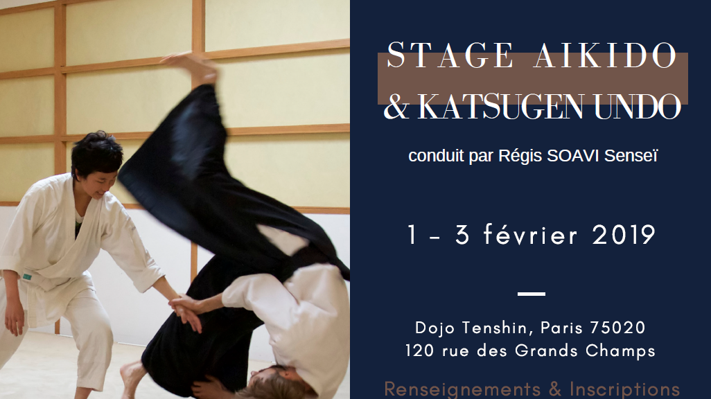 stage fevrier 2019